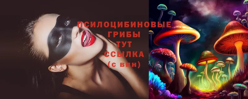 Галлюциногенные грибы Psilocybine cubensis  hydra ССЫЛКА  Ейск 